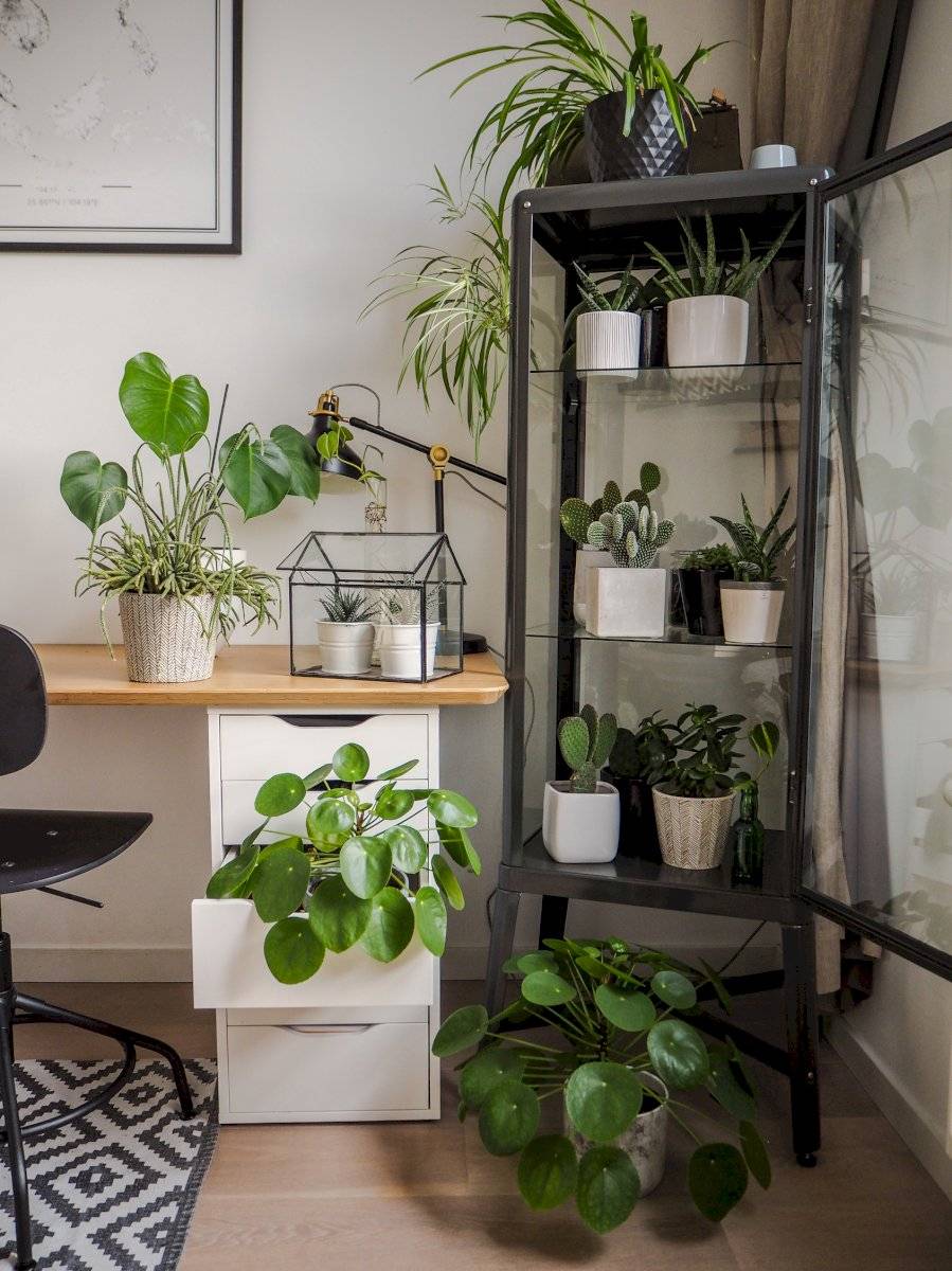Interiorismo