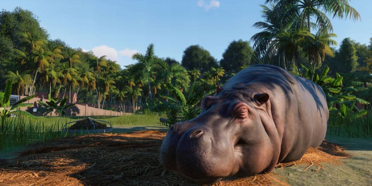 Videojuego Planet Zoo permite que construyas un zoológico personalizado