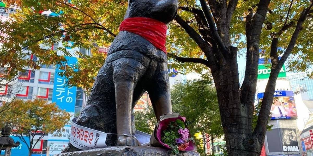 Nacen más homenajes al Negro Matapacos, incluyendo un altar y hasta la estatua de Hachiko en Japón
