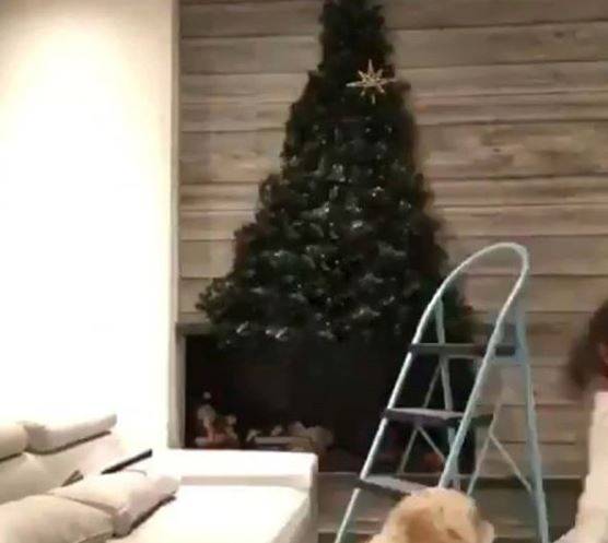 La técnica de Mary Méndez para tener un árbol de Navidad a prueba de mascotas