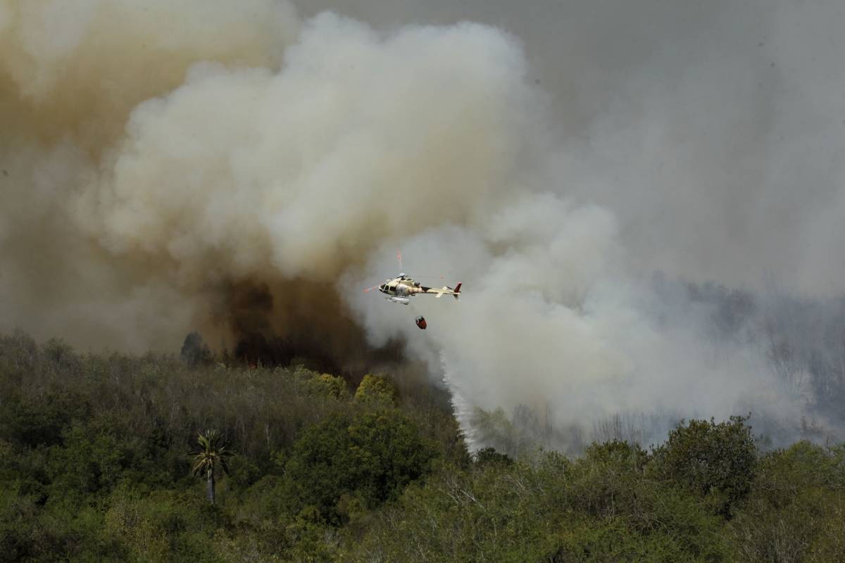 Megaincendio en región de Valparaíso: alerta roja por 500 hectáreas arrasadas y evacuaciones preventivas por hogares en peligro - Publimetro Chile