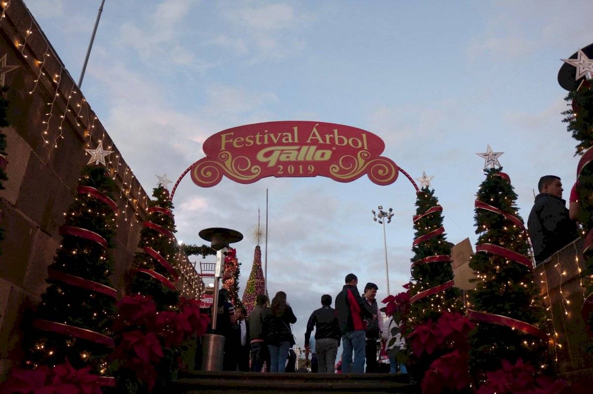 Festival Árbol Gallo 2019