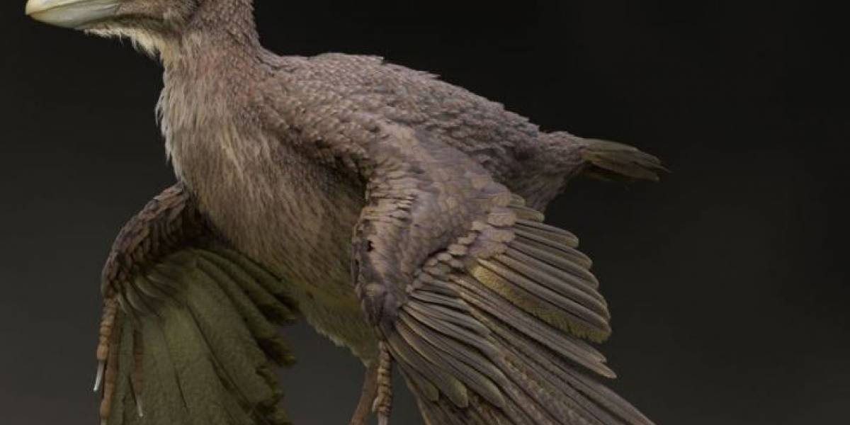 Nuevo fósil descubierto es clave entre los dinosaurios y las aves actuales