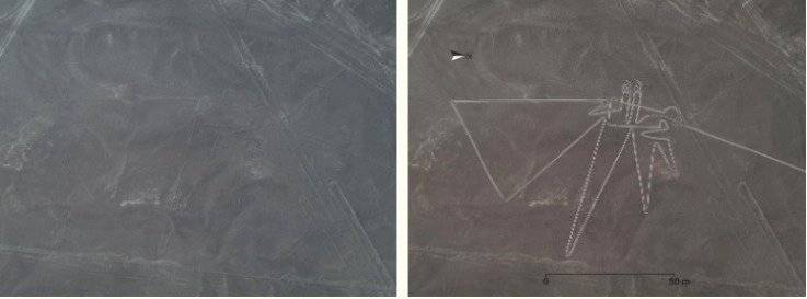 Increíble: Expertos descubren 140 nuevos dibujos en la ciudad de Nazca en Perú