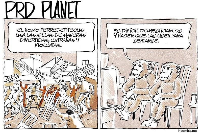 incomica