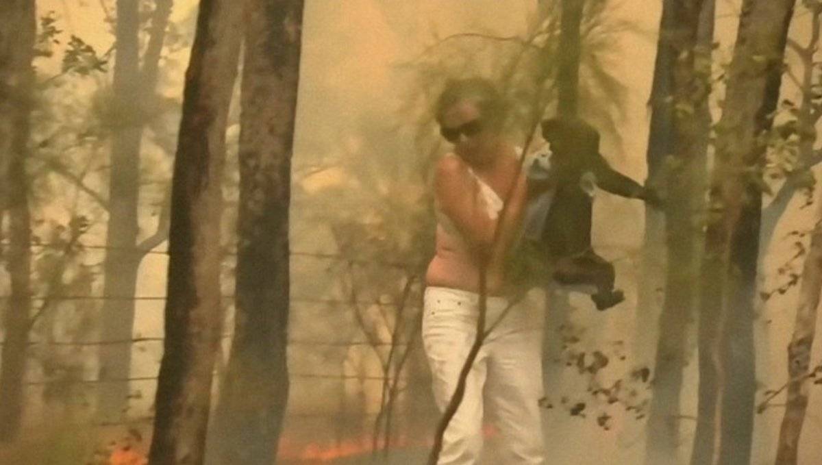 Rescatan a koala de incendio en Australia