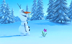 frozen