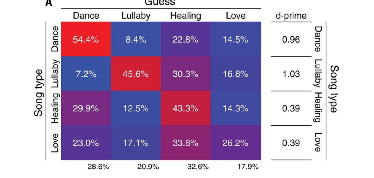 Los humanos podrían compartir una gramática innata de la música