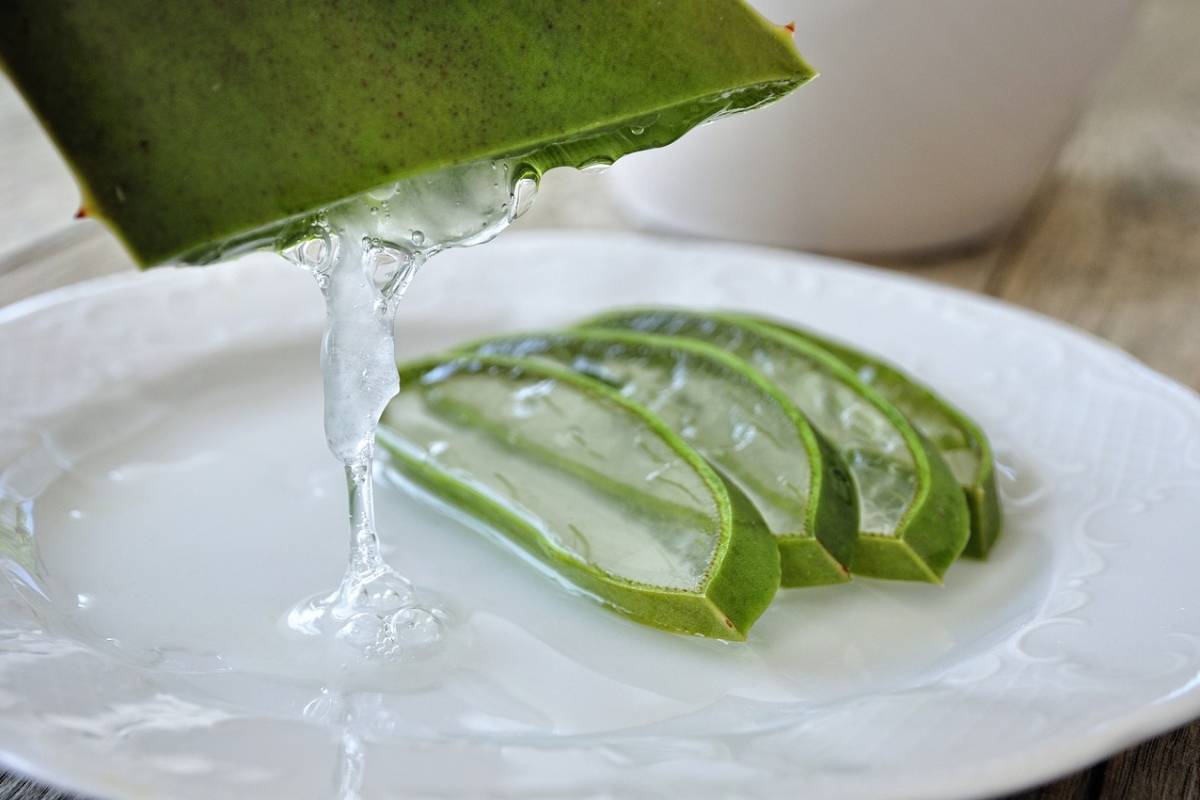 como se usa el aloe vera para la caspa