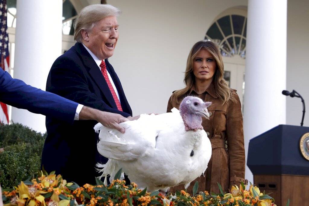 Pavos