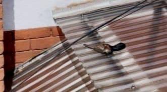 Asalto en Quito