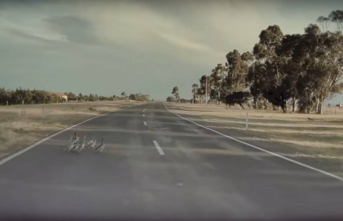 Tesla Autopilot