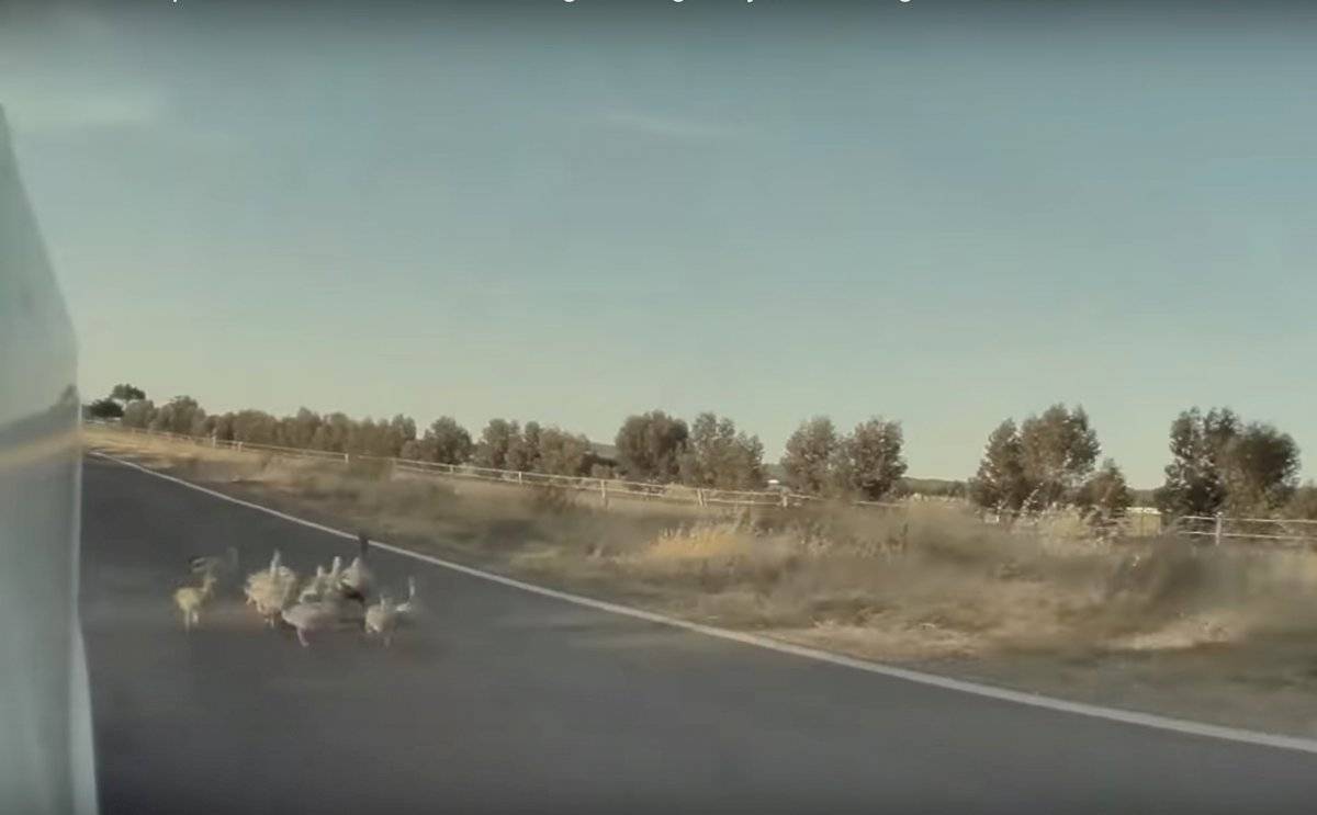 Tesla Autopilot