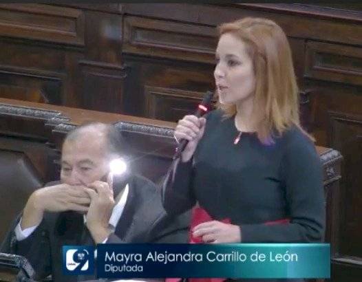 Alejandra Carrillo presenta renuncia como diputada al Congreso