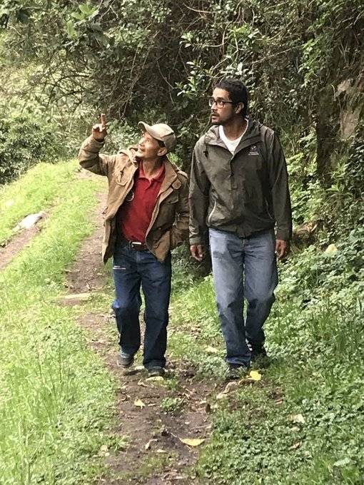 Oso de anteojos fueron vistos en el bosque cerca al sector de La Legarda
