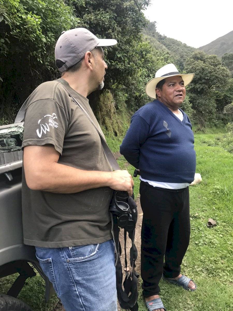 Oso de anteojos fueron vistos en el bosque cerca al sector de La Legarda