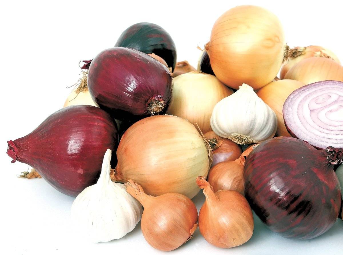 cebola alho