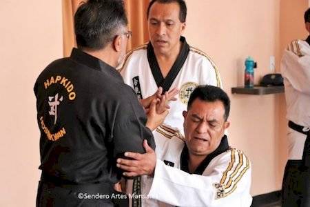 HoSinKwan invita al seminario abierto de Hapkido, arte marcial coreano de defensa personal