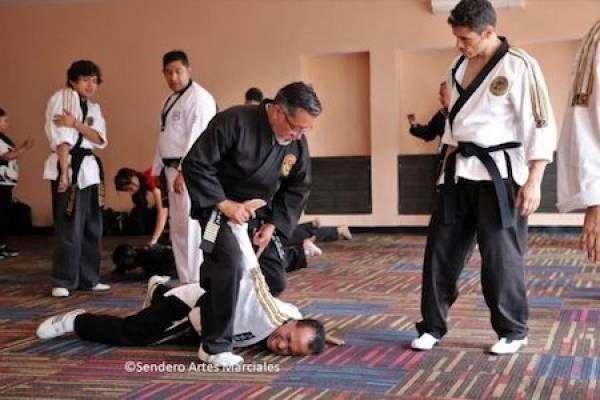 HoSinKwan invita al seminario abierto de Hapkido, arte marcial coreano de defensa personal