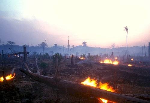 Incendio en la Amazonía
