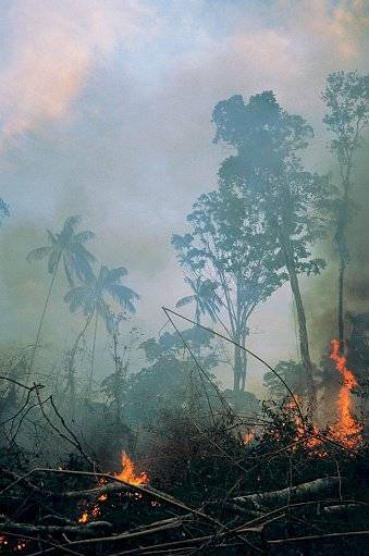 Incendio en la Amazonía