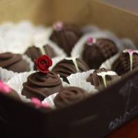 Cómo preparar trufas de coquito