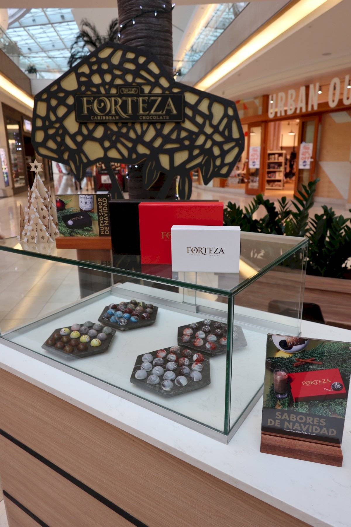 Chocolate Forteza
