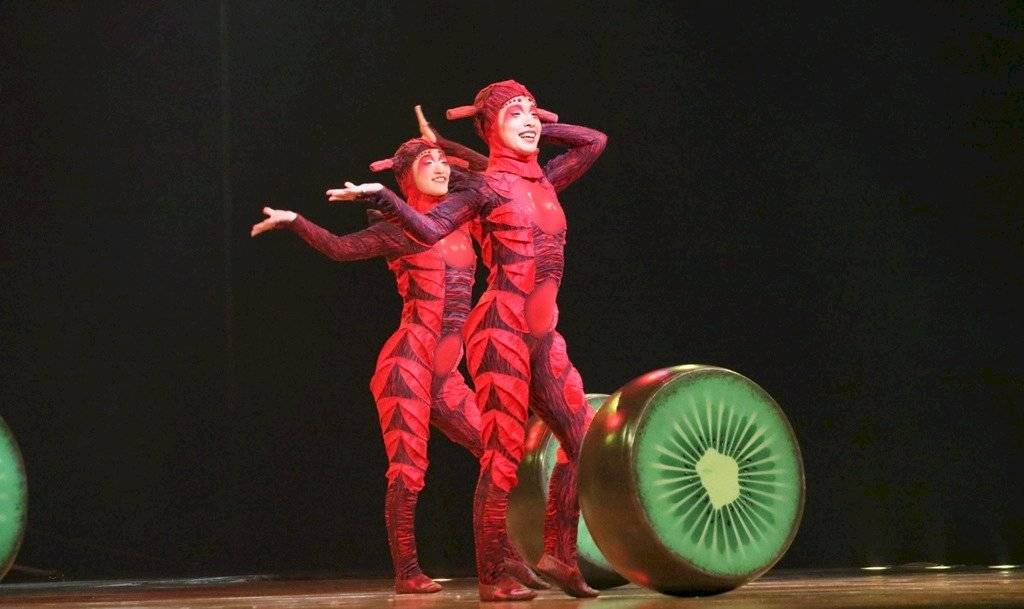 Cirque Du Soleil