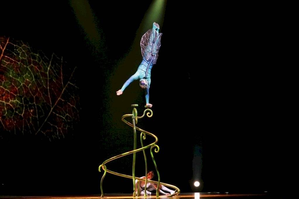 Cirque Du Soleil