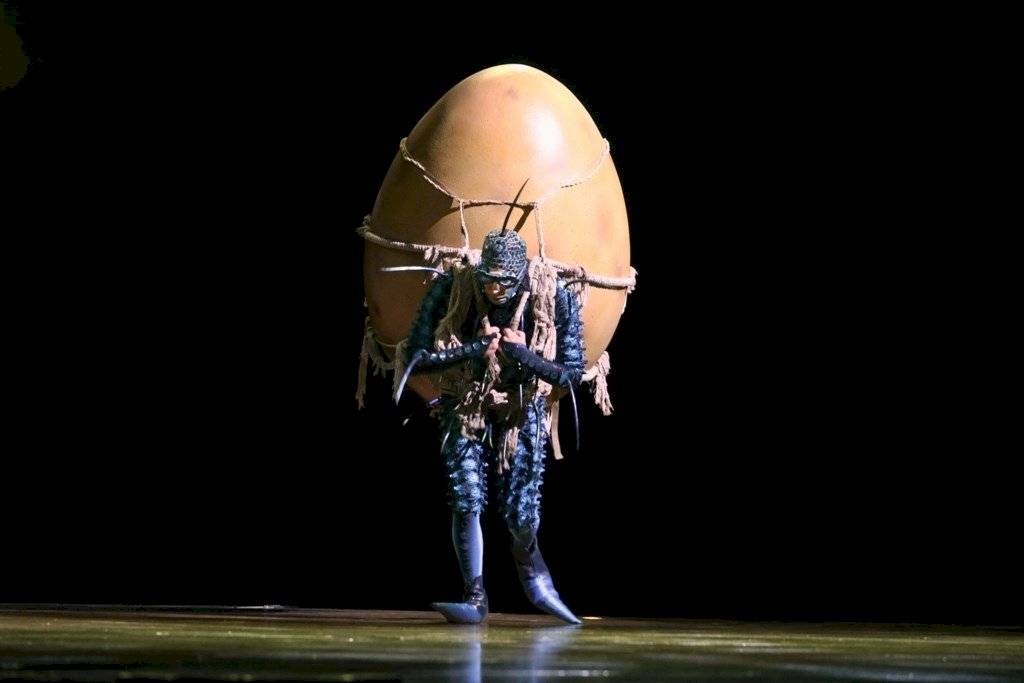Cirque Du Soleil