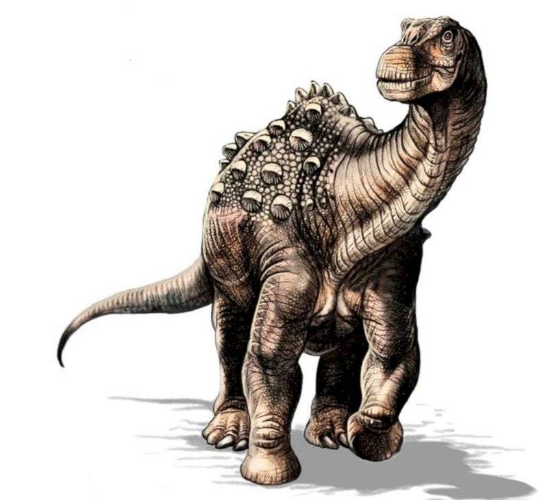 Fósil de dinosaurio enano en el sur de Ecuador