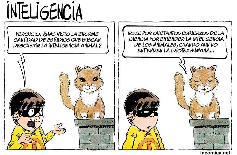 incomica