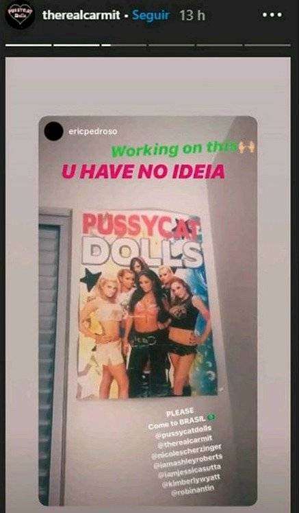 pussycat dolls