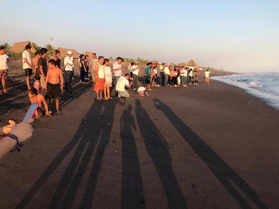 Liberación de tortugas en Sipacate