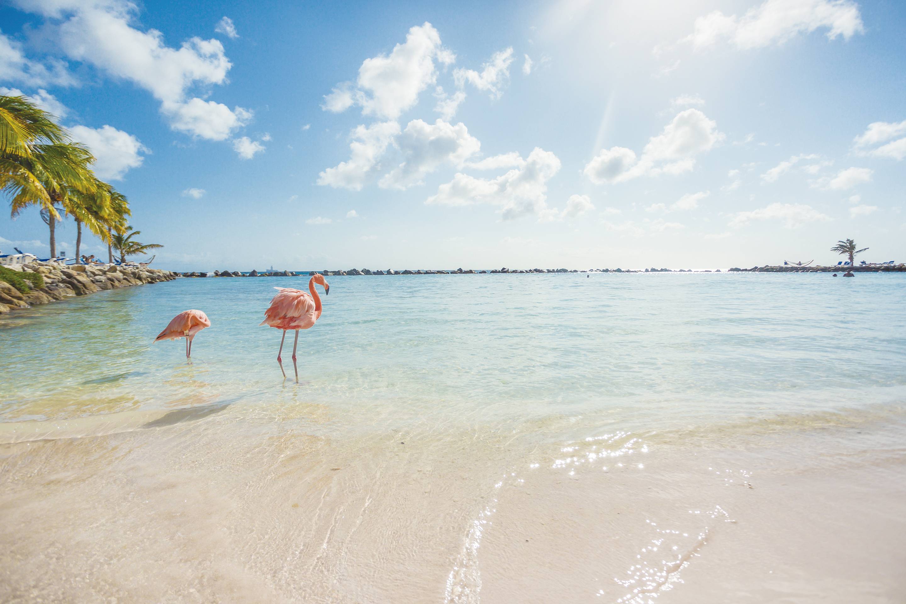Aruba