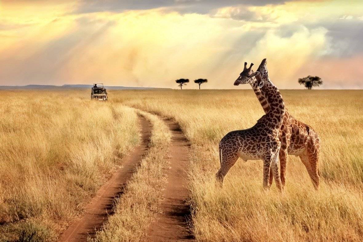 áfrica