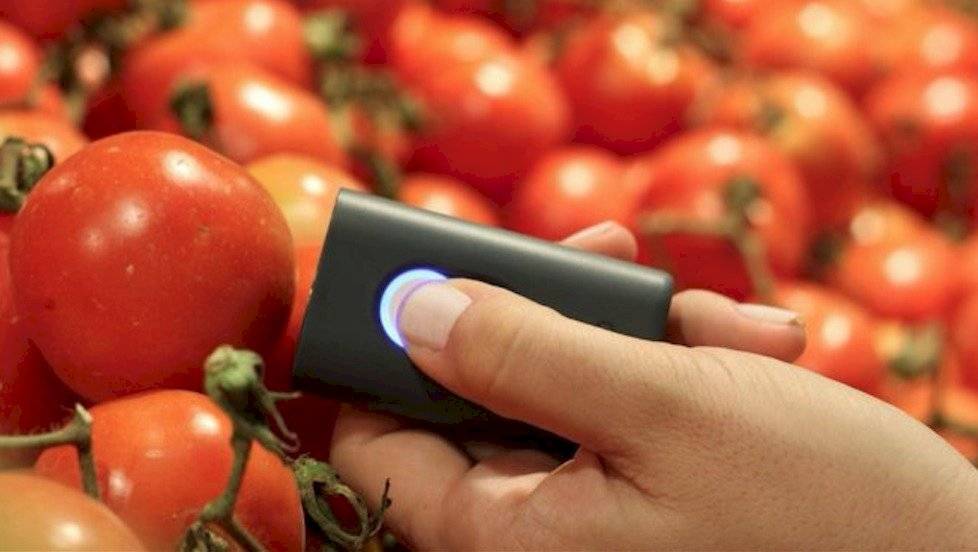 Sensor molecular