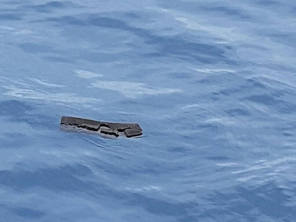 Confirman hallazgo de una esponja del tanque que sería de avión extraviado en Chile