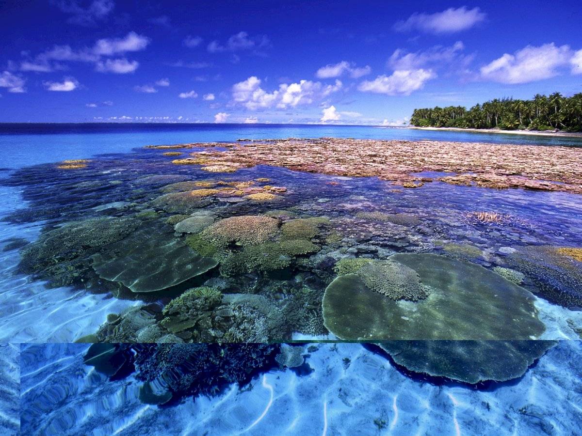 Investigación demuestra que islas Marshall tienen altos índices de radiación