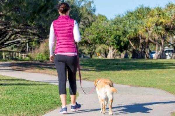 Ejercicios para bajar de peso caminar Ejercicios para bajar de peso caminar