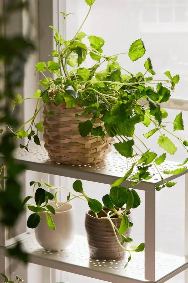 Fredrik Sweger/IKEA