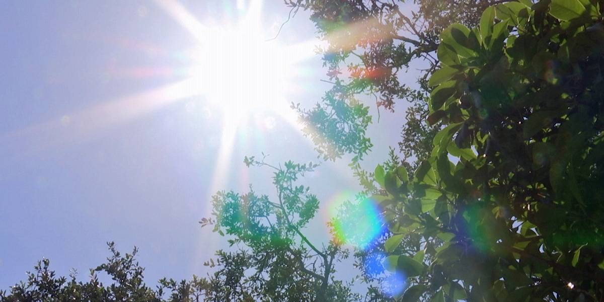 Ola de calor: Estas fueron las máximas históricas que alcanzó Chile hoy