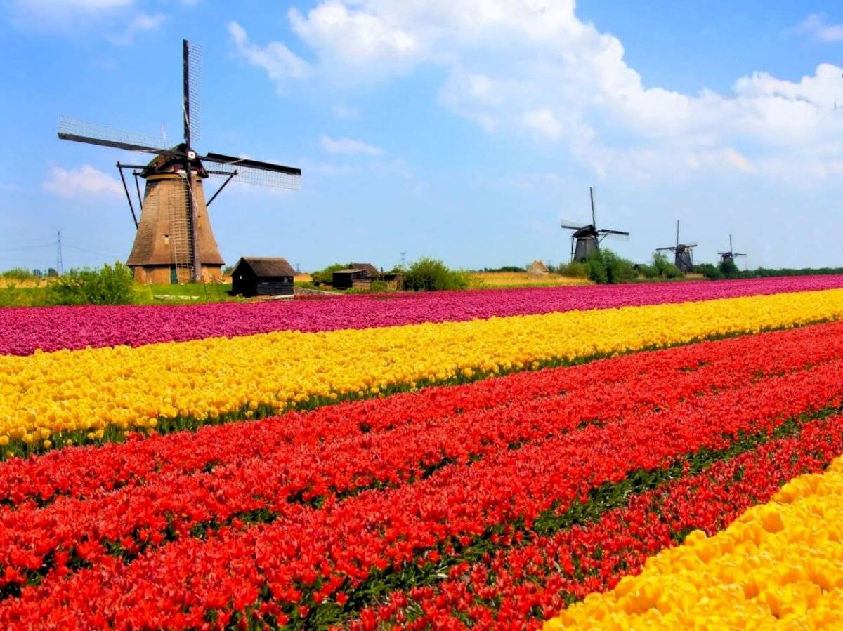 Amsterdam