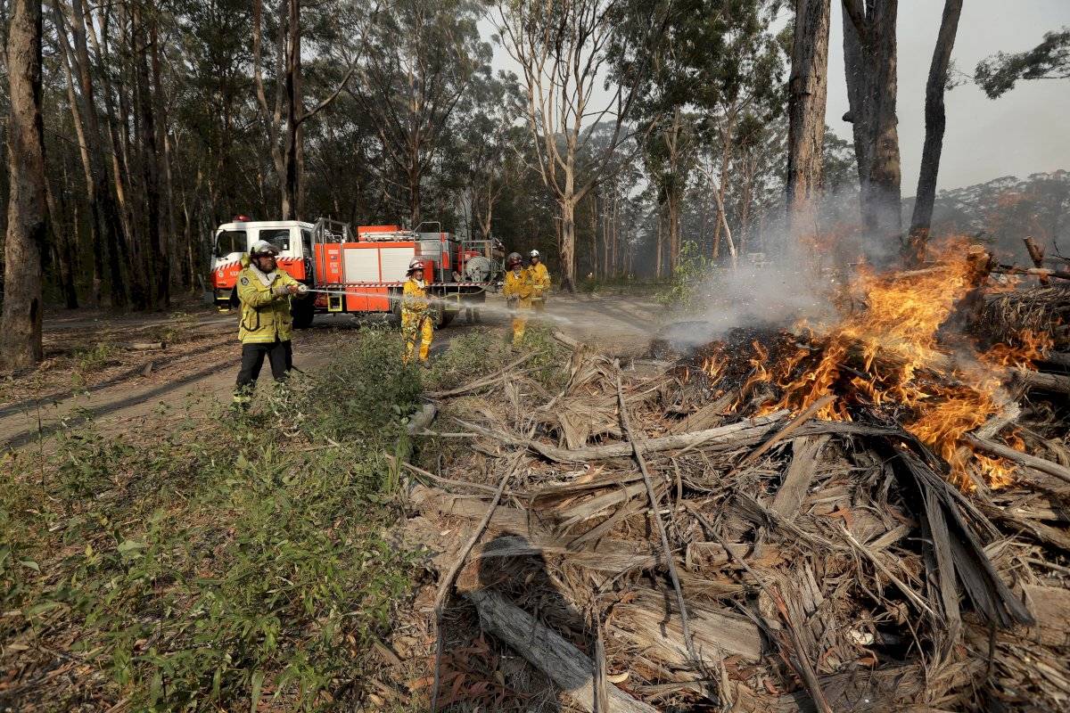 Unos 480 millones de animales víctimas de los incendios en Australia