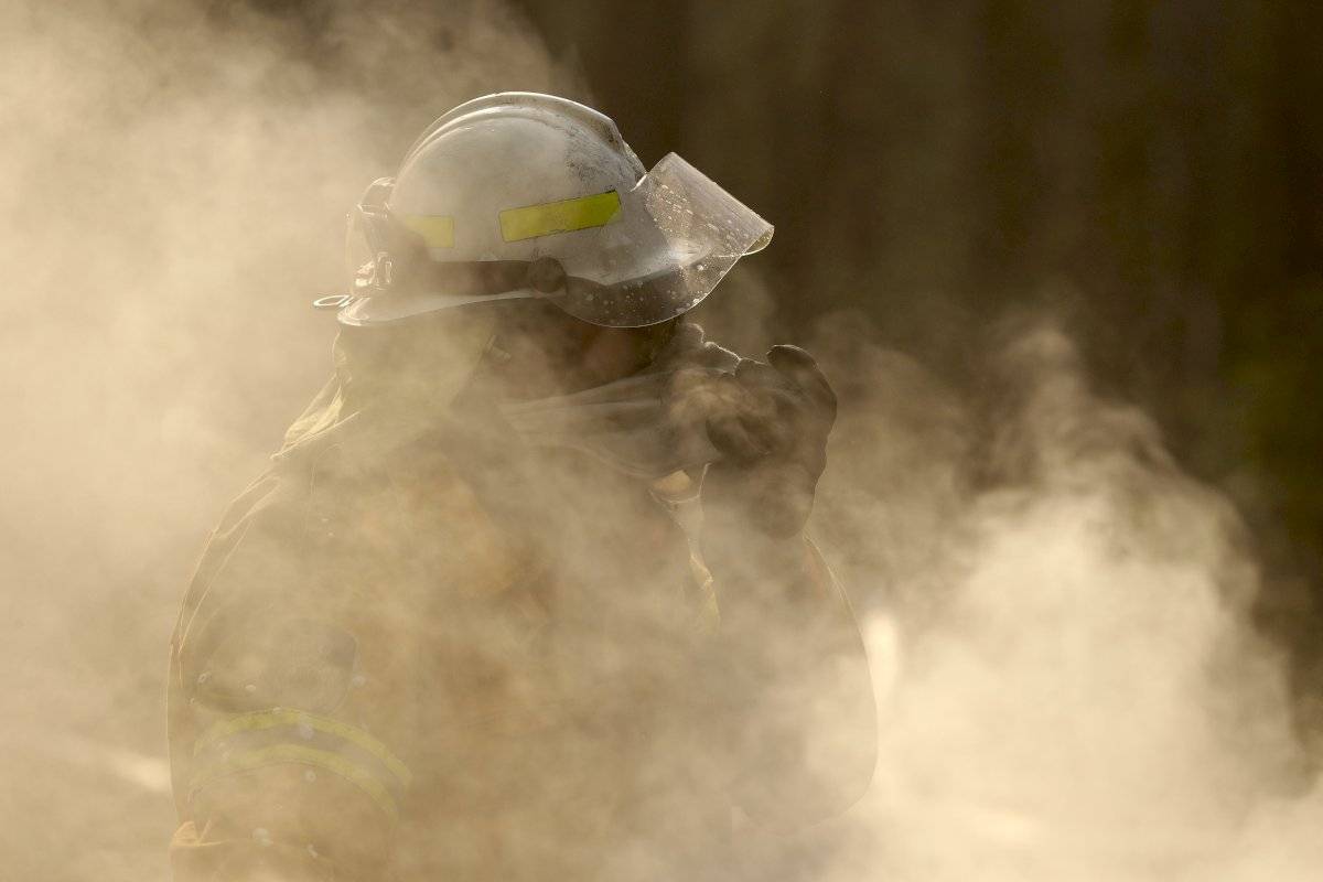 Unos 480 millones de animales víctimas de los incendios en Australia