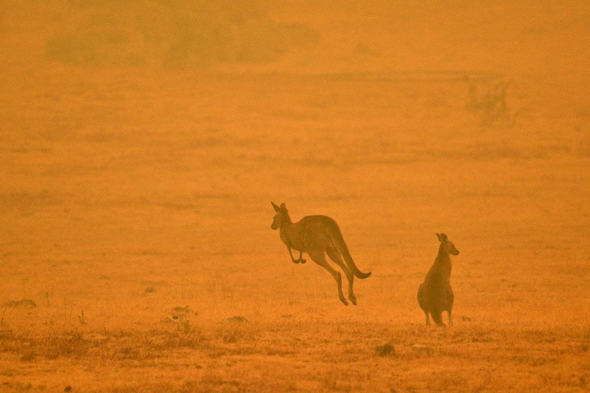 Incendios en Australia