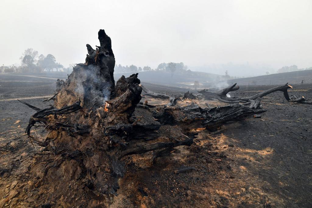 incendios australia incendios australia