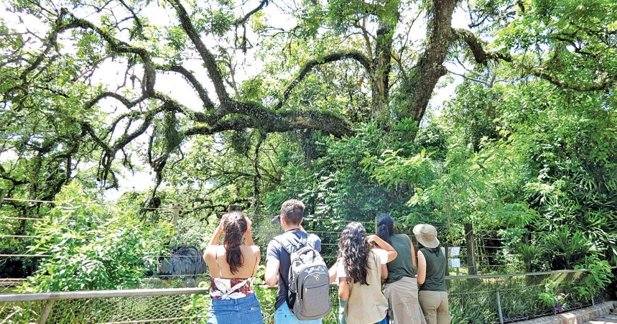 Zoológico de São Paulo