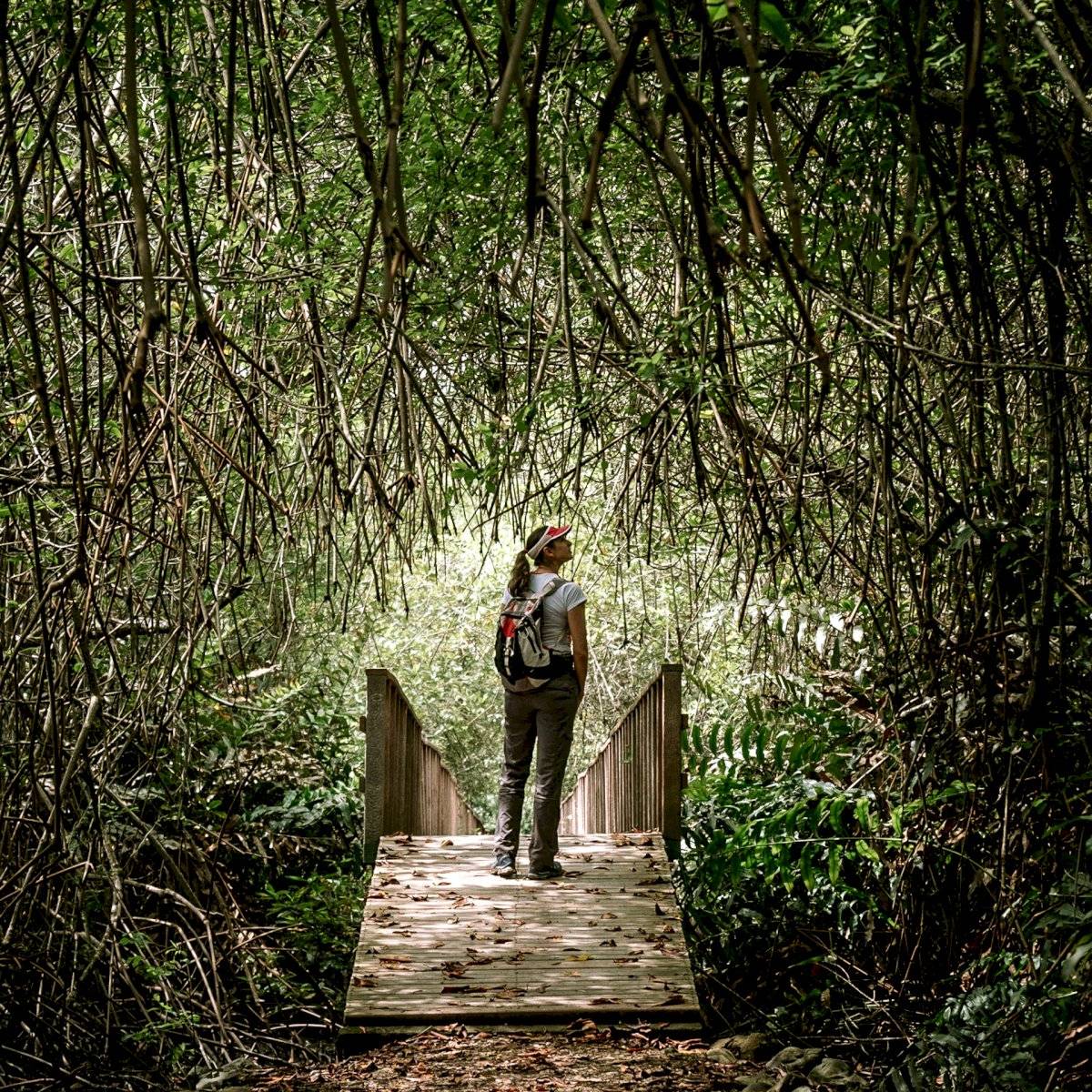 Escape Natura