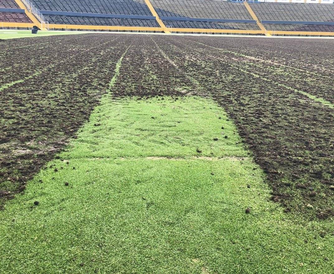 Remodelación del gramado del estadio Olímpico Atahualpa